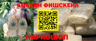 прущие грибы Новозыбков
