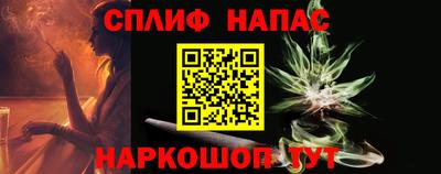 прущие грибы Новозыбков