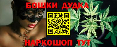 прущие грибы Новозыбков