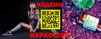 прущие грибы Новозыбков