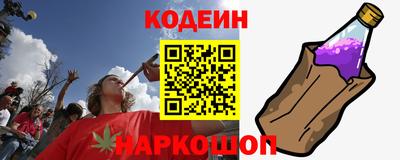 прущие грибы Новозыбков