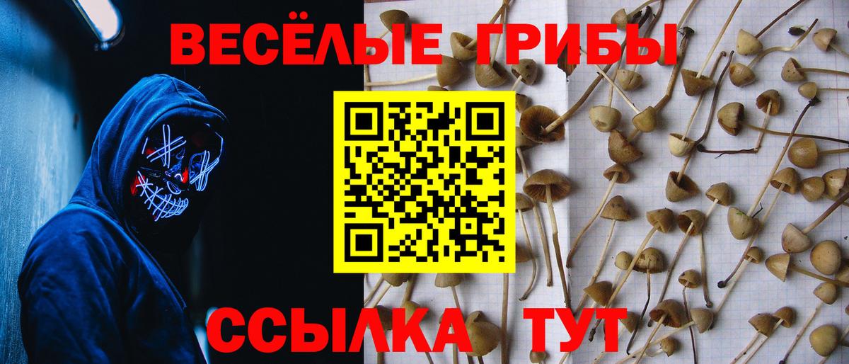Галлюциногенные грибы ЛСД Тихорецк